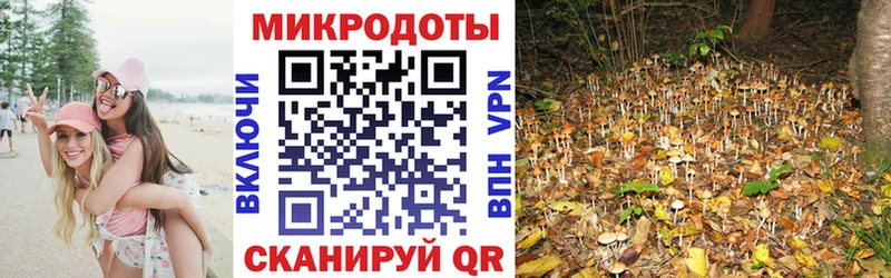 Галлюциногенные грибы мицелий  наркошоп  Костерёво 